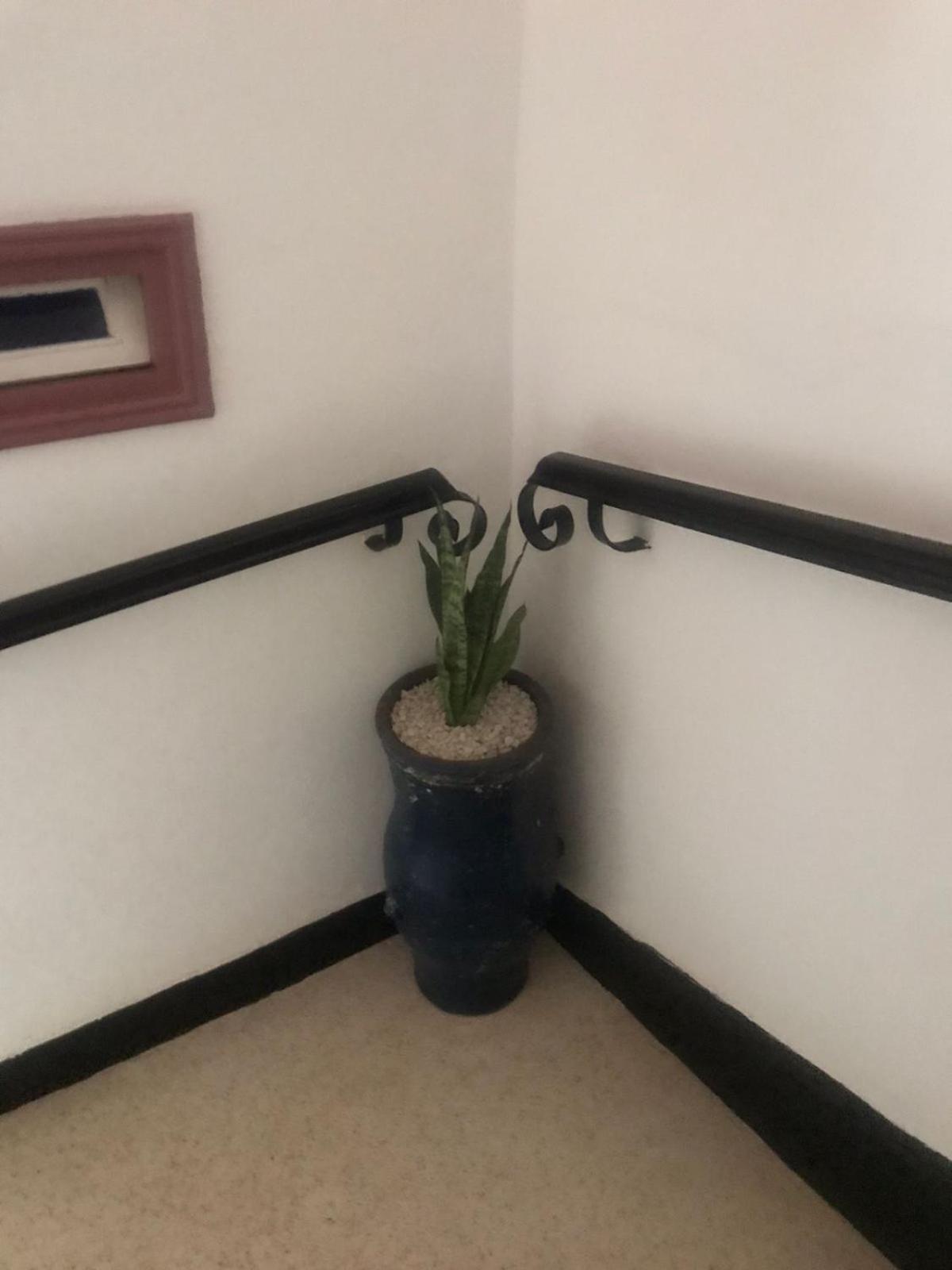 Hotel Riad Gnaoua Essaouira Ngoại thất bức ảnh